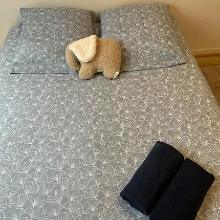 Nid Douillet Proche Centre Lägenhet