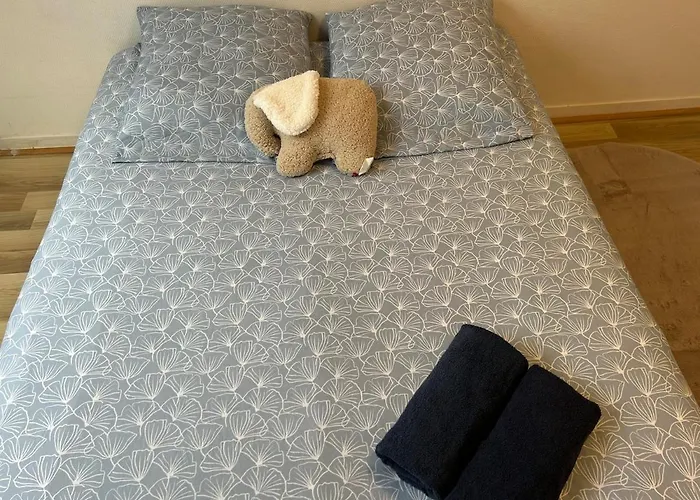 Nid Douillet Proche Centre Lägenhet