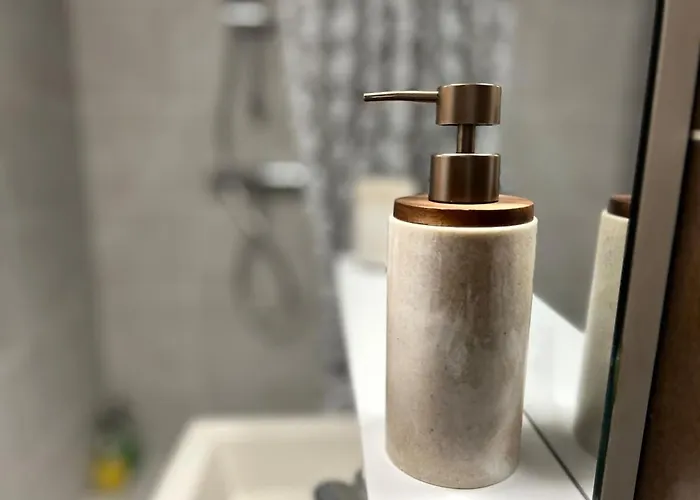 Lägenhet Nid Douillet Proche Centre Troyes