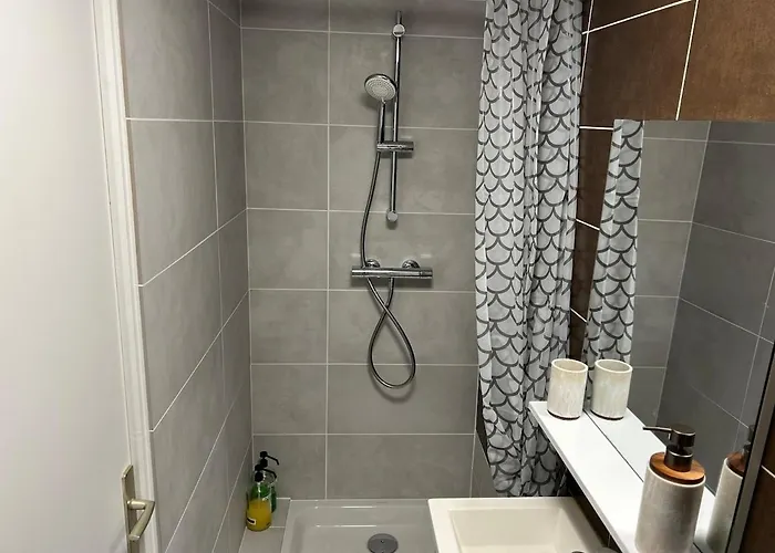 Lägenhet Nid Douillet Proche Centre Troyes