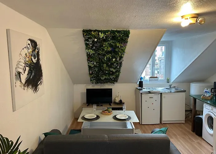 Nid Douillet Proche Centre Troyes